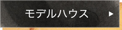 詳しく見る